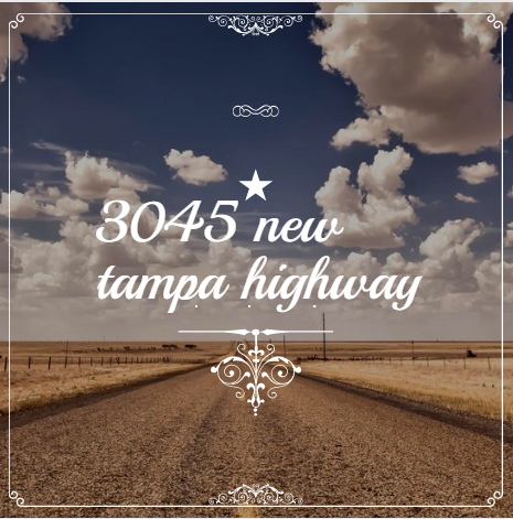 3045 new tampa highway