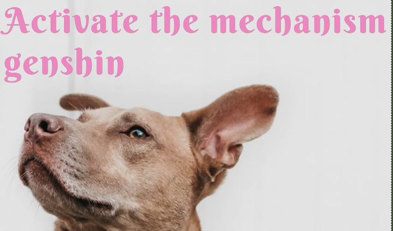 Activate the mechanism genshin