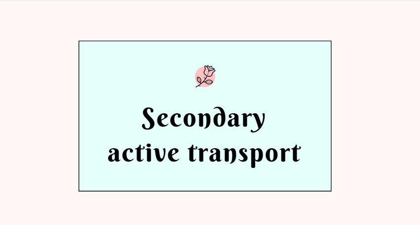 Secondary active transport
