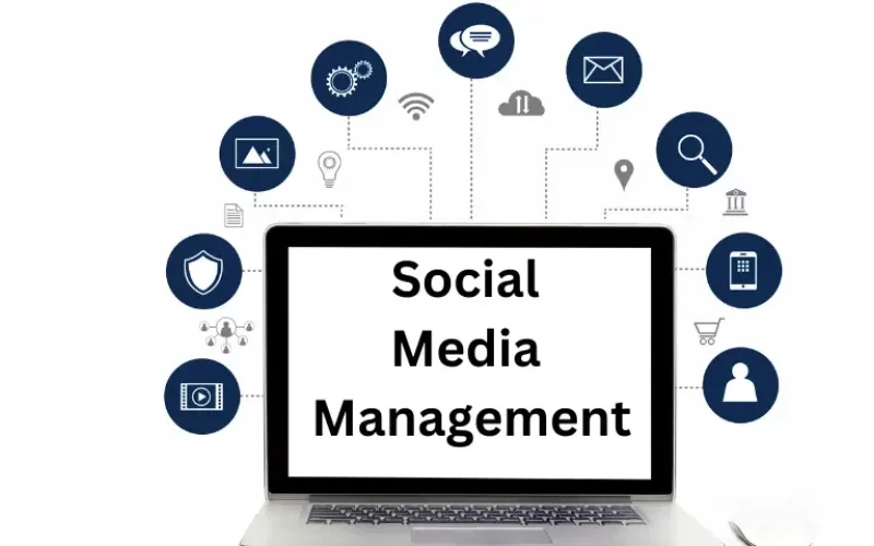Social Media Management Navigating the Digital Landscape